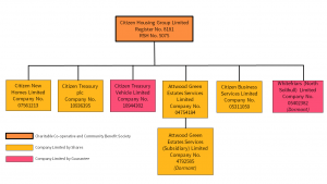 Citizen Legal Structure Chart 2