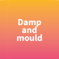 Damp and Mould