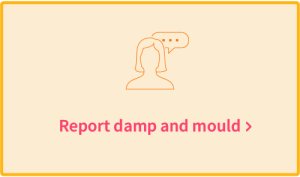 Image Design For Reporting Damp And Mould 02